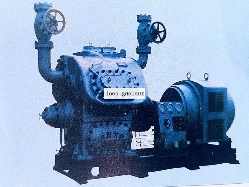 Dalian Ruixue ammonia fluorine 170 piston refrigeration compressor